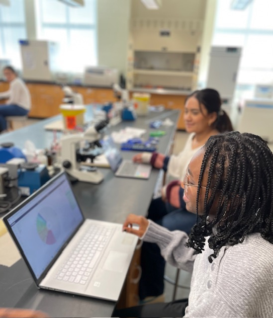 Undergraduate student working in a computer lab